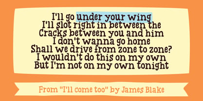 Under Your Wing Font Poster 2