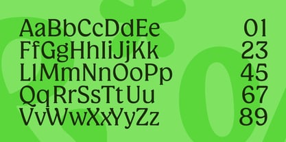 Champie Font Poster 5