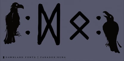 Paradox Runa Font Poster 3