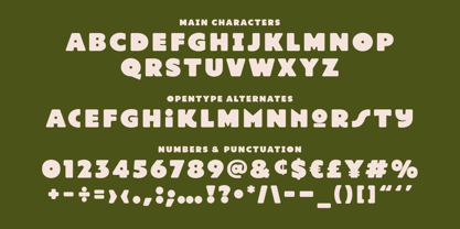 ATF Manarola Font Poster 14