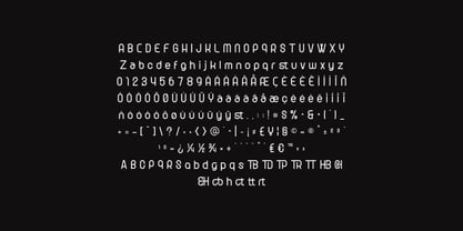 Romanine Pro Font Poster 2