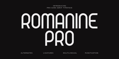 Romanine Pro Font Poster 1