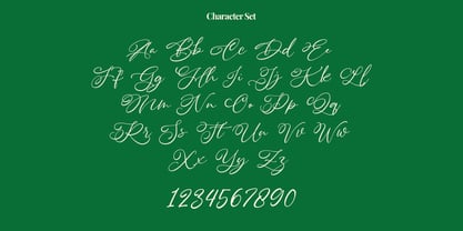 Daisy Wonder Font Poster 3