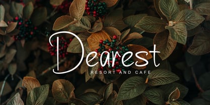 Bordnest Font Poster 5