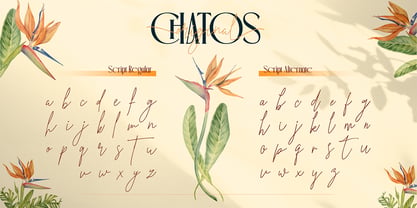 Chatos Original Font Poster 9