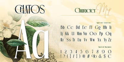 Chatos Original Font Poster 2