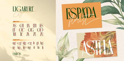 Chatos Original Font Poster 4