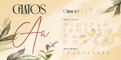 Chatos Original Font Poster 6