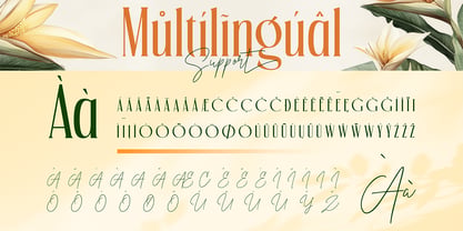 Chatos Original Font Poster 11