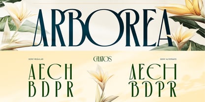 Chatos Original Font Poster 5