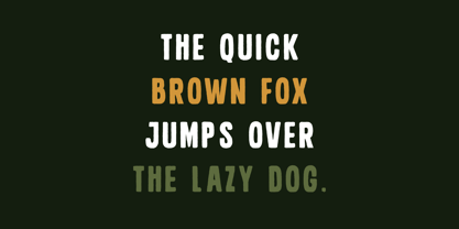 Junglekong Font Poster 7