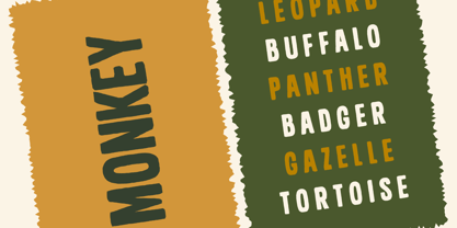 Junglekong Font Poster 11