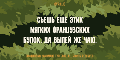 Junglekong Font Poster 10