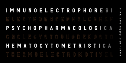 Sagre Font Poster 12