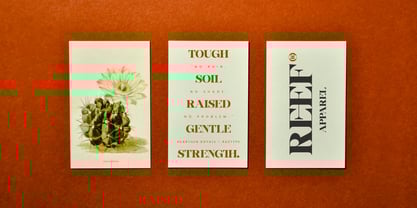 Hearthen Royale Font Poster 8