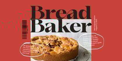 Hearthen Royale Font Poster 5