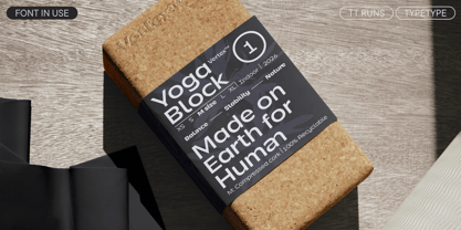 TT Runs Font Poster 13