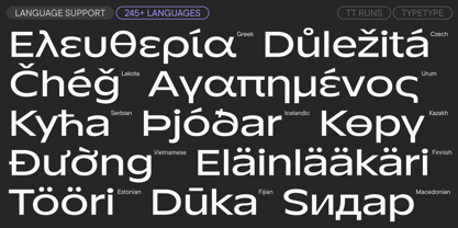 TT Runs Font Poster 7