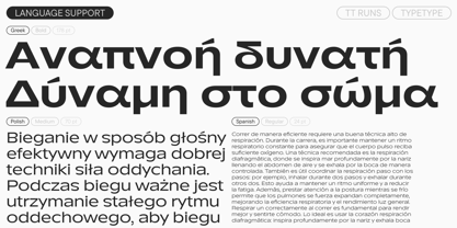 TT Runs Font Poster 8