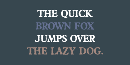 Carterion Font Poster 8