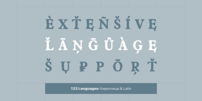 Carterion Font Poster 3