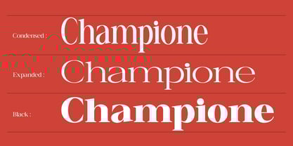 Canella Font Poster 3