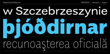 Alergia Grotesk Font Poster 4