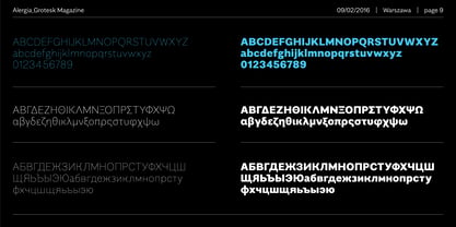 Alergia Grotesk Font Poster 9