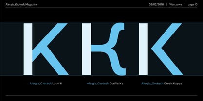 Alergia Grotesk Font Poster 10