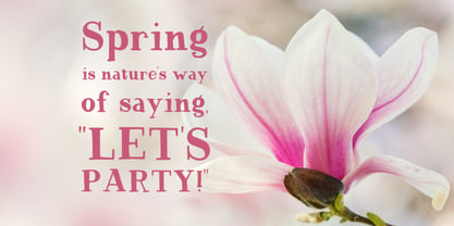 Magnolia Tree Serif Font Poster 2