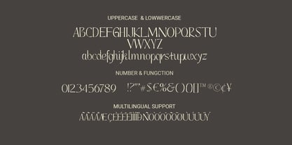 Bitoria Font Poster 9