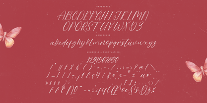 Butterfly Wonders Font Poster 7