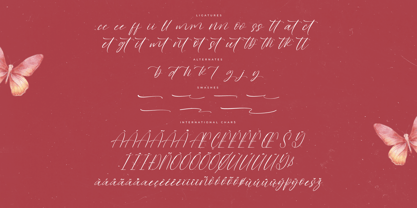 Butterfly Wonders Font Poster 8