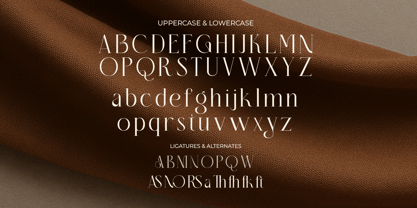 Begeris Font Poster 11