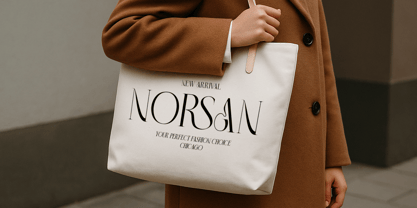 Begeris Font Poster 6