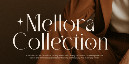 Begeris Font Poster 4