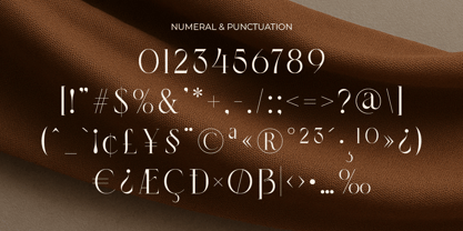 Begeris Font Poster 12