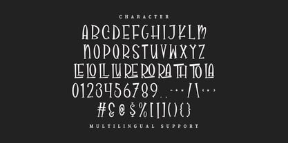 MC Molarois Wluzeg Font Poster 7