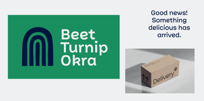 Picual Font Poster 8