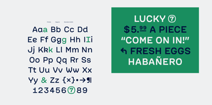 Picual Font Poster 3