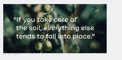 Picual Font Poster 7