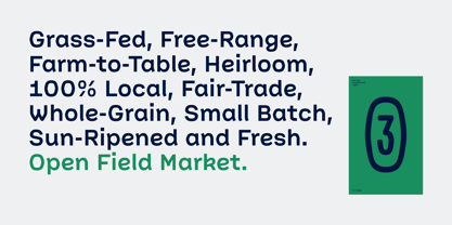 Picual Font Poster 9