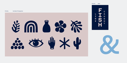 Picual Font Poster 12