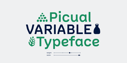 Picual Font Poster 11