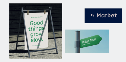 Picual Font Poster 2