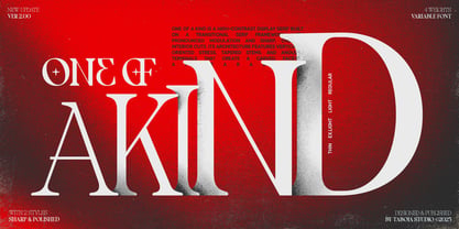 TBJ One of a kind Font Poster 1