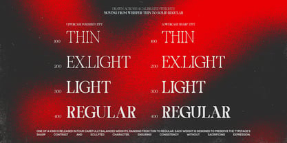TBJ One of a kind Font Poster 3