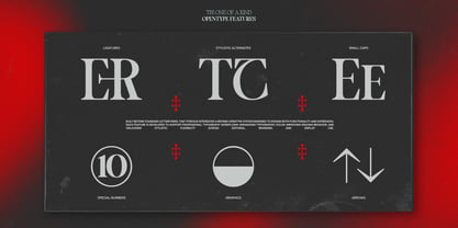 TBJ One of a kind Font Poster 10