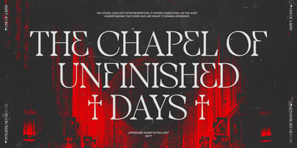 TBJ One of a kind Font Poster 9