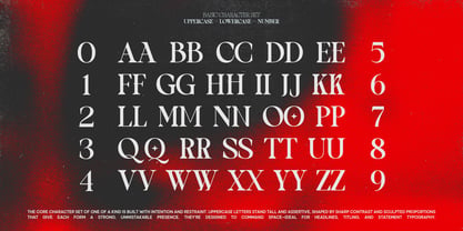 TBJ One of a kind Font Poster 2